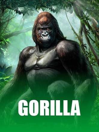 Gorilla