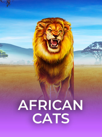 African Cats