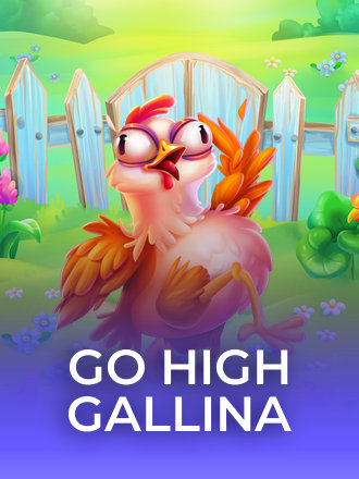 Go High Gallina 94
