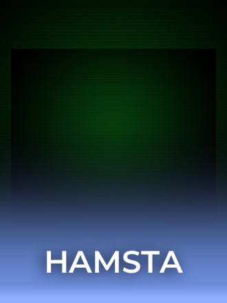 Hamsta